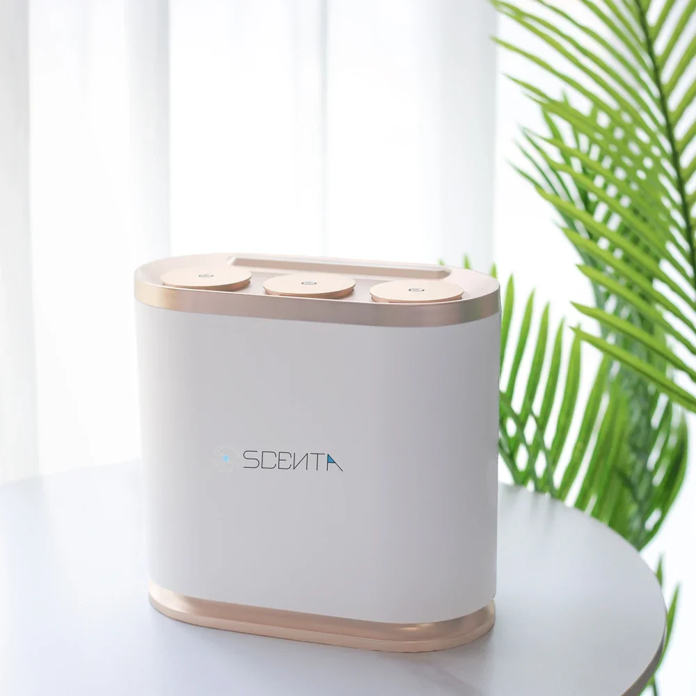 SCENTA Professional Aroma Oil Scent For Diffuser Manufacturer Bluetooth Mini Fan Cool Mist Essential Air Purifier And Humidifier