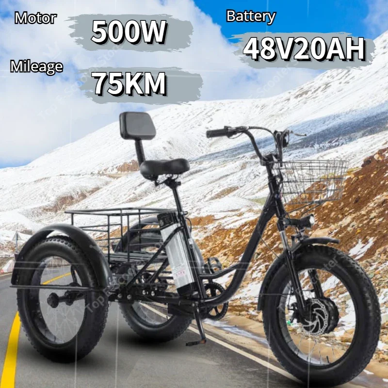 20 Inch Fat Electric Bike 3 Wheeled Electric Tricycle With Passenger Seat for Adult 48v 500w Powerful Lithium  Battery Removable