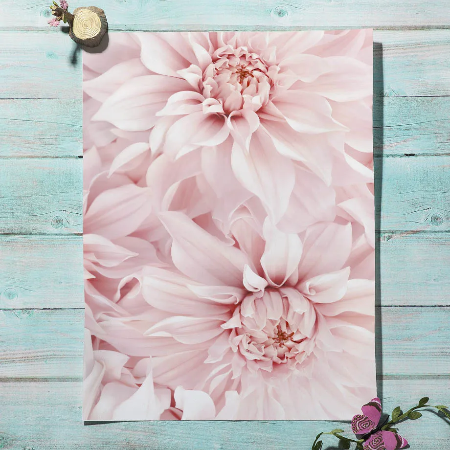 Pink Flowers Peony Rose Daisy Phone Wall Art Canvas Painting Nordic Posters And Prints Pictures For Living Room Home Decoration