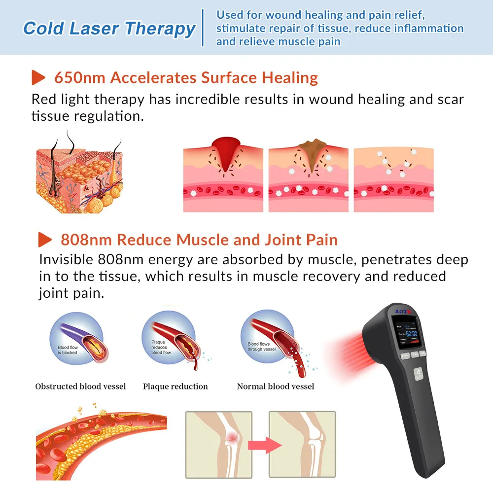 ZJZK 880mW Hand Held Cold Laser Therapy Device Light Cat Health Laser Light For Dogs 650nmX16Diodes+808nmX4Diodes Neuralgia