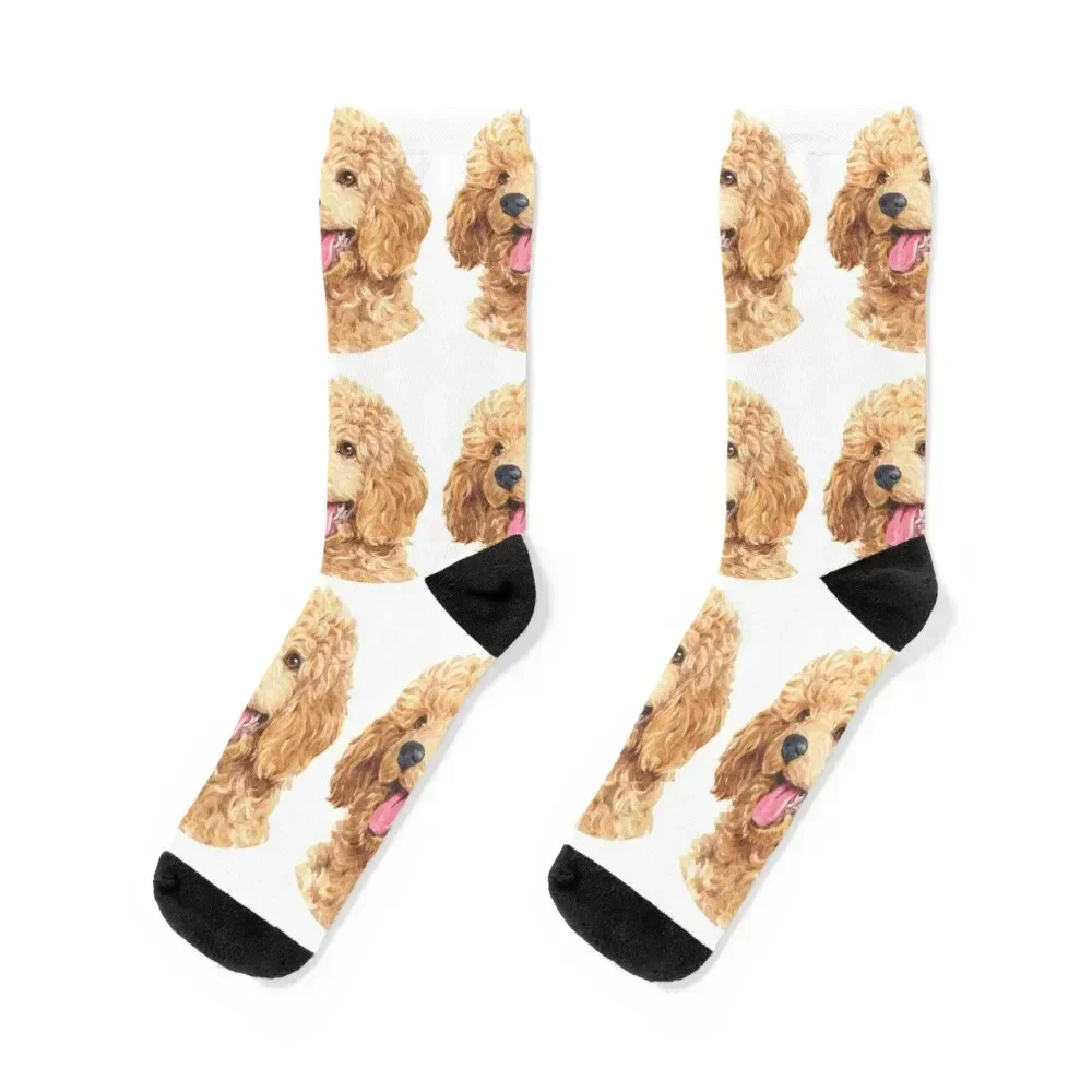 

Apricot Toy Poodle Watercolor Art Socks sport designer brand floral essential Women's Socks Men's