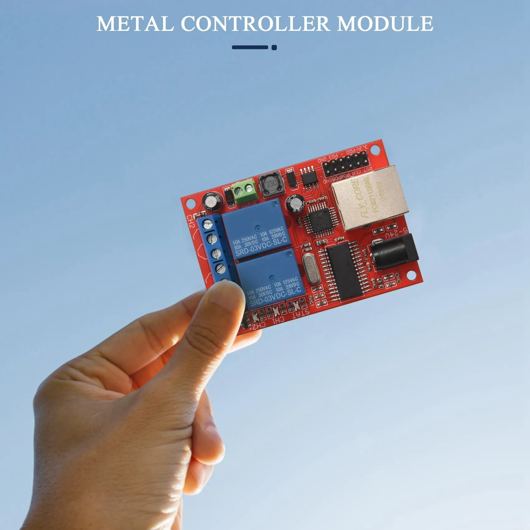 LAN Ethernet 2-way Relay Board Delay Switch TCP/UDP Controller Module WEB server