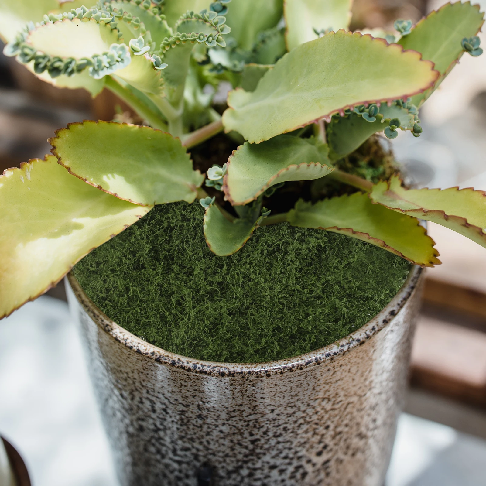 

Moss Turf Pot Plant Artificial Grass for Crafts Floral Decorations Fake Simulation Low Maintenance Enhance Spaces Lifelike