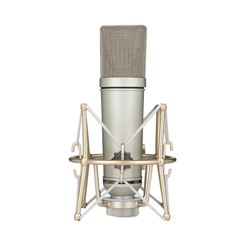 

condenser microphone recording studio computer recording live network professional large seismic