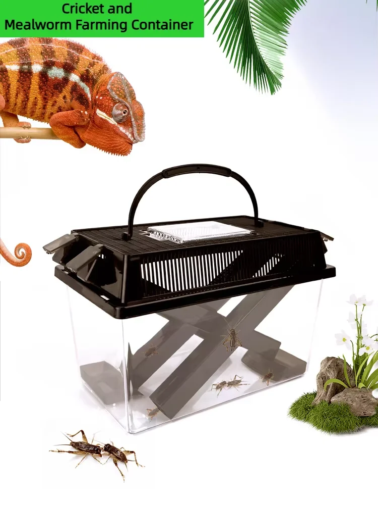Caja portátil para atrapar insectos, trampa para atrapar insectos, contenedor transparente para atrapar grillos, caja de observación de insectos para niños al aire libre