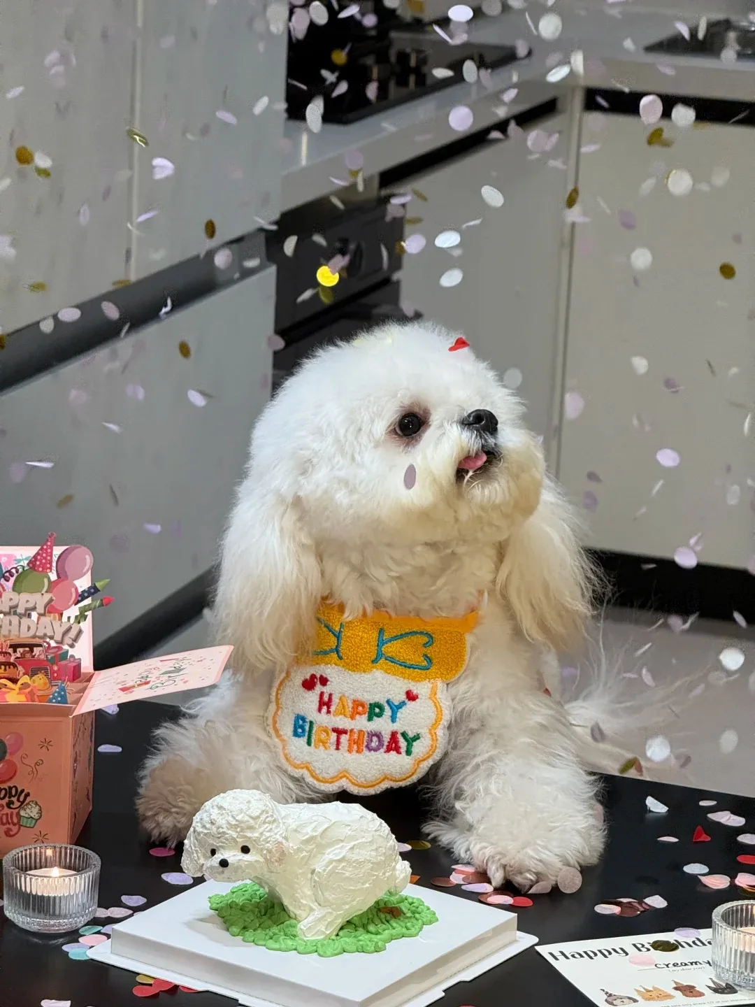 Thumbnail 4 - #81 Discounted Cotton Bandana Scarfs Worth Buying