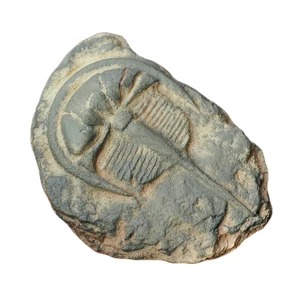 Reptilien- und Kriechterrarium für Kind, fossile Harzharz, Landschaft dekorativer Behälter, 1PC 8 Hauptverkäufe fossiler Harz - №8