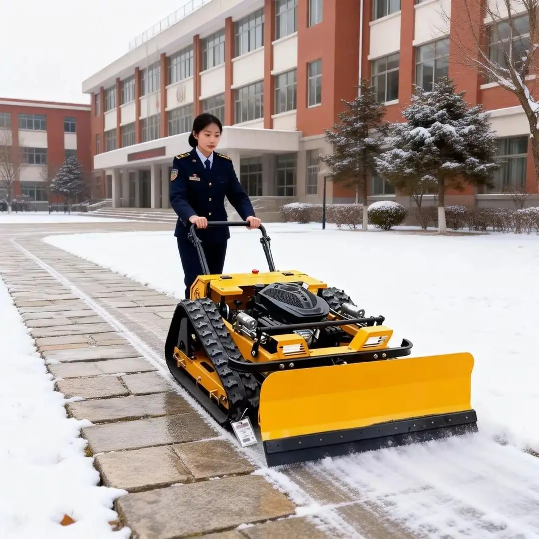 

Customized 2-in-1 Snow Pushing Weeding Wireless Remote Robot Lawn Mower 4-Stroke Engine CE EPA Certified Blades