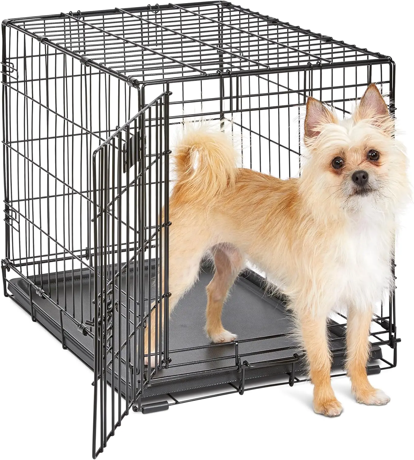 

Homes for Pets 24-Inch iCrate for Small Breeds, 12-20 lbs, Single Door Folding Dog Crate with Divider Panel, Leak-Proof Tray & Secure Latch, Portable, Durable & Easy to Assemble