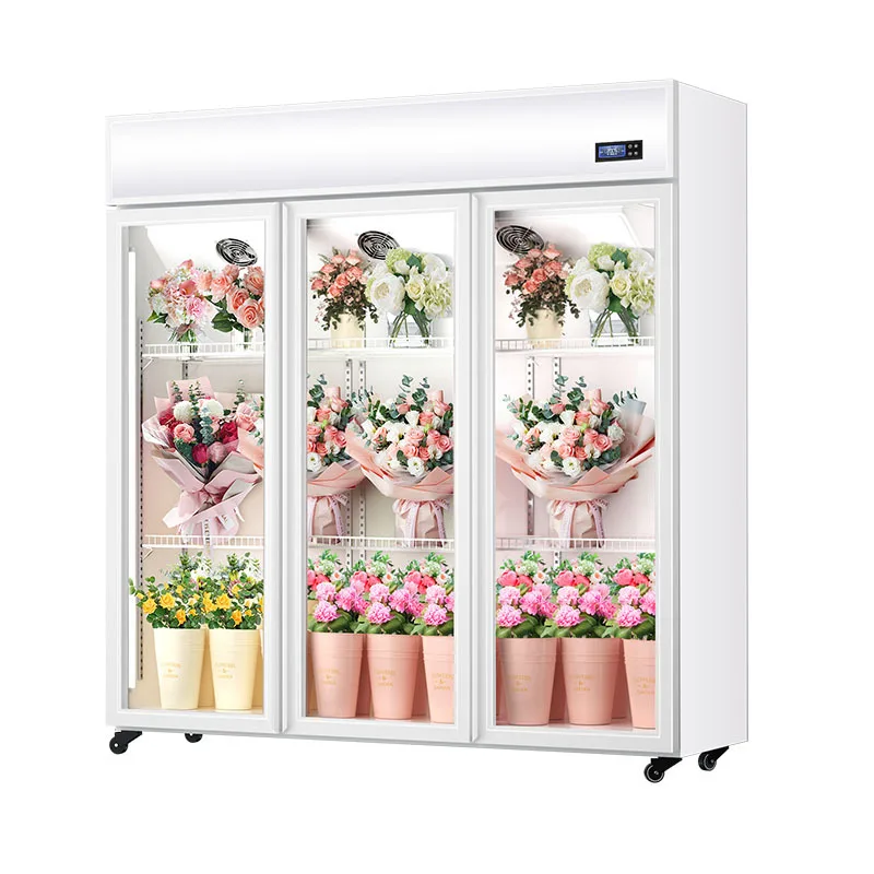 HXL Flower Shop خزانة حفظ الزهور الطازجة التجارية ذات سعة كبيرة، فريزر مبرد بالهواء، حفظ طازج