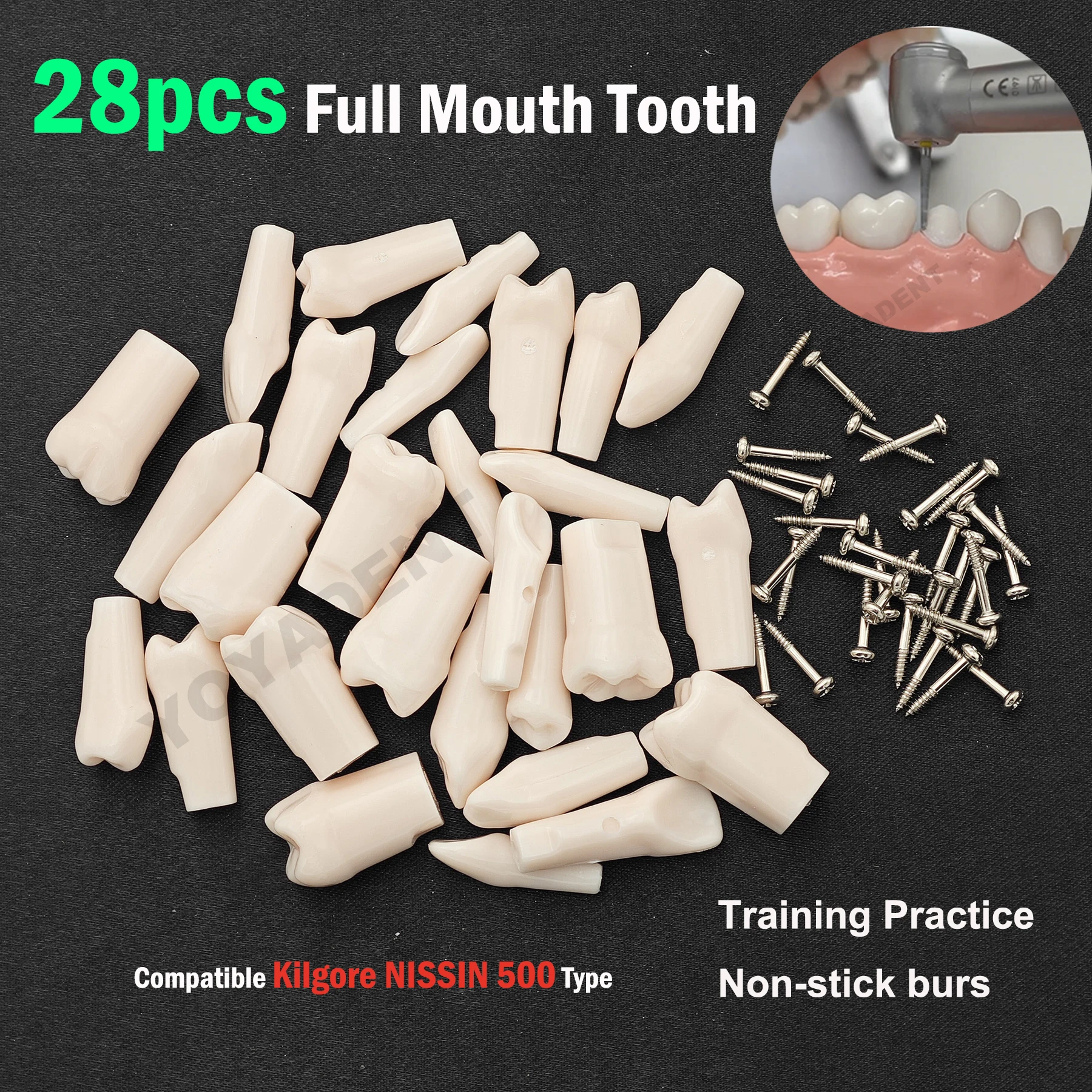 10Pcs Replacement Teeth Compatible NISSIN 500 Type Teeth Model For Dental Preparation Training Teaching Resin Material