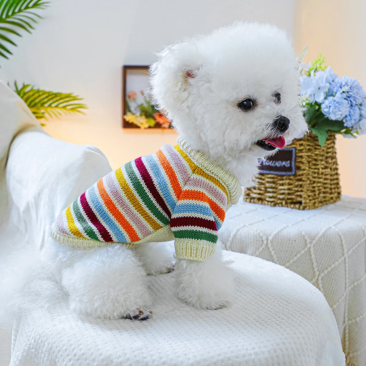 1PC pet clothing rainbow mood sweater spring and autumn pullover elastic knit sweater suitable for small and medium-sized dogs