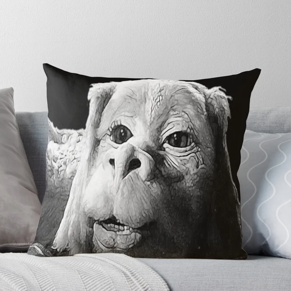 

Falkor The Luck Dragon From The Neverending Story Design Throw Pillow Pillow Covers Decorative