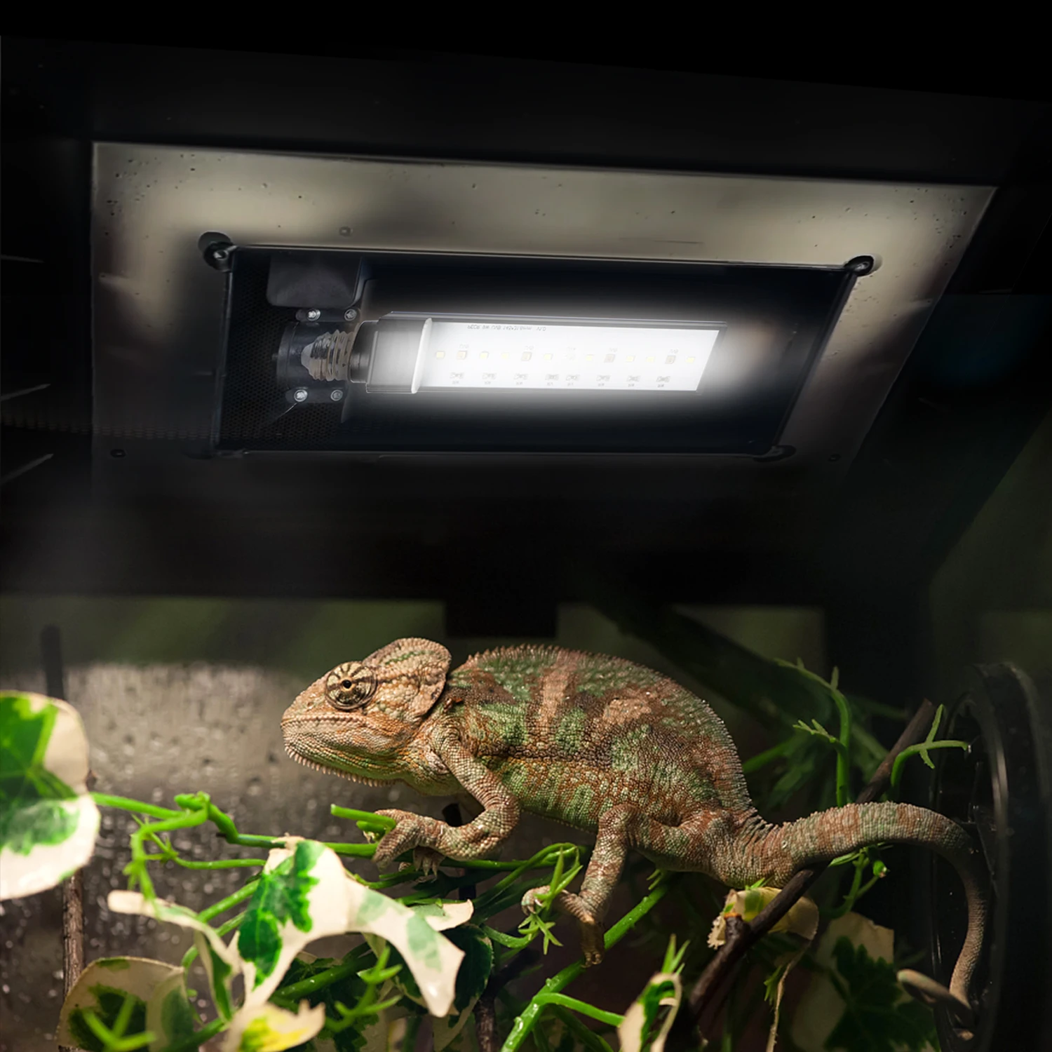 

LED UVA + UVB Sun Lamp Reptile Light for Amphibian Turtle Bearded Dragons Chameleon Lizard and Snake