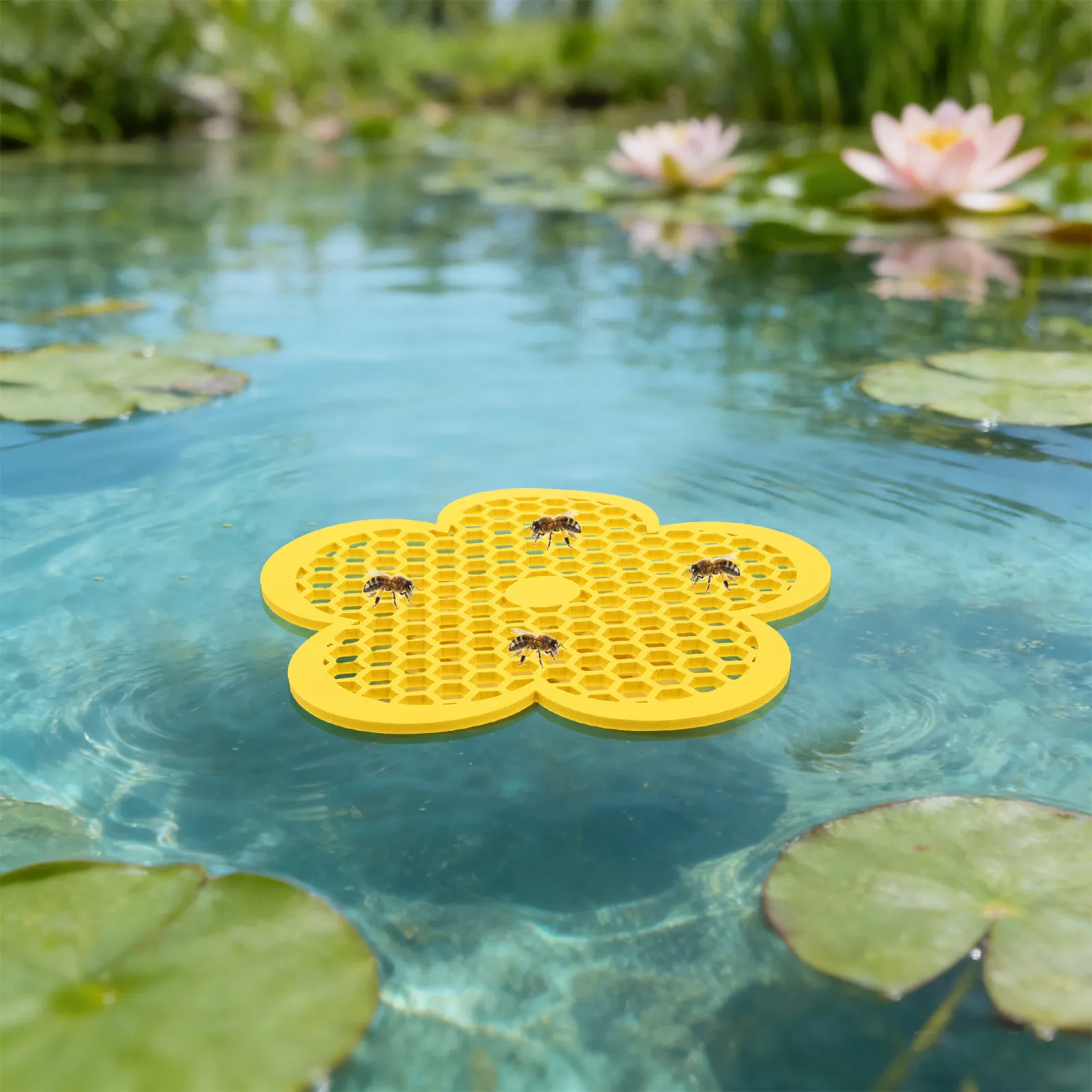 3Pcs Bee Water Feeder for Honey Bees Butterflies Insects Garden Beekeeping Supplies Tools Easy Clean Drinking Water Platform