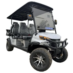 Custom Street Legal Hunting 2 4 6 8 10 Seater off Road 72V Lithium Battery Electric Lifted Golf Cart