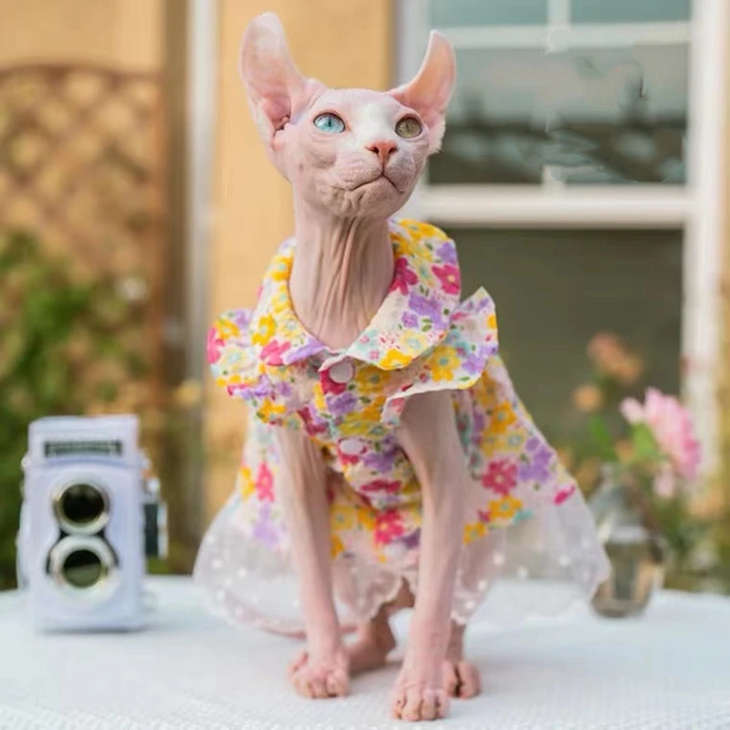 Sphinx Pet Cat Floral Dresses Princess Clothes For Sphynx Cat Kitten  Suspender Flower Lace Skirt Devon Rex Summer Spring Autumn