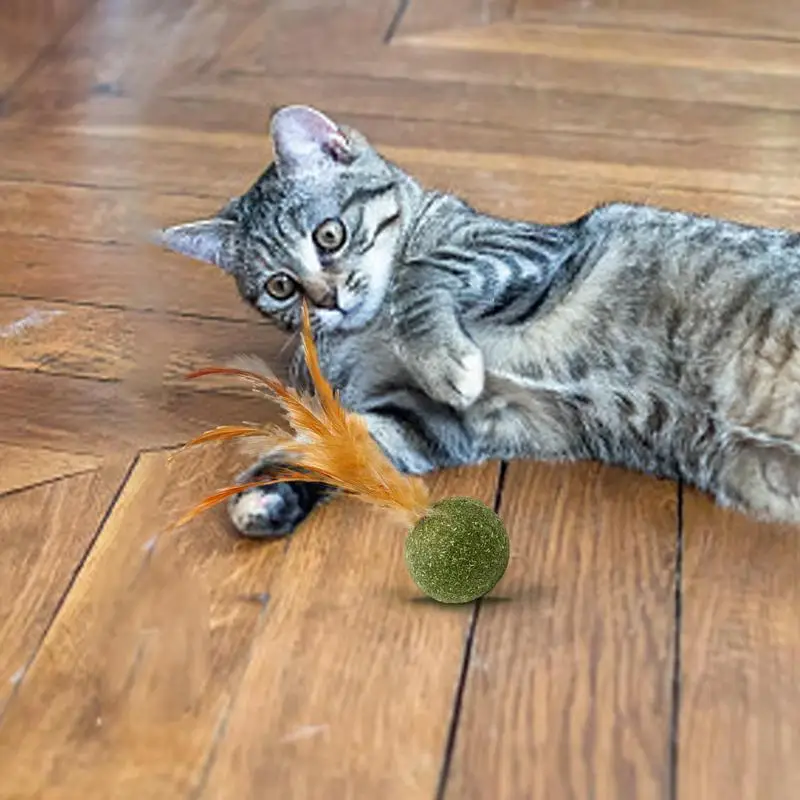 Cat Toys Catnip Kitten Catnip Feather Ball Interactive Natural Lollipop Natural Cat Kicker Feathers Design Cat Teeth Cleaning