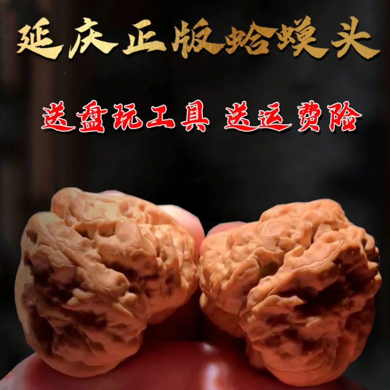 

Грецкие орехи Yanqing Old Tree Golden, премиум-класса, ручной очистки, с ножками и глазками