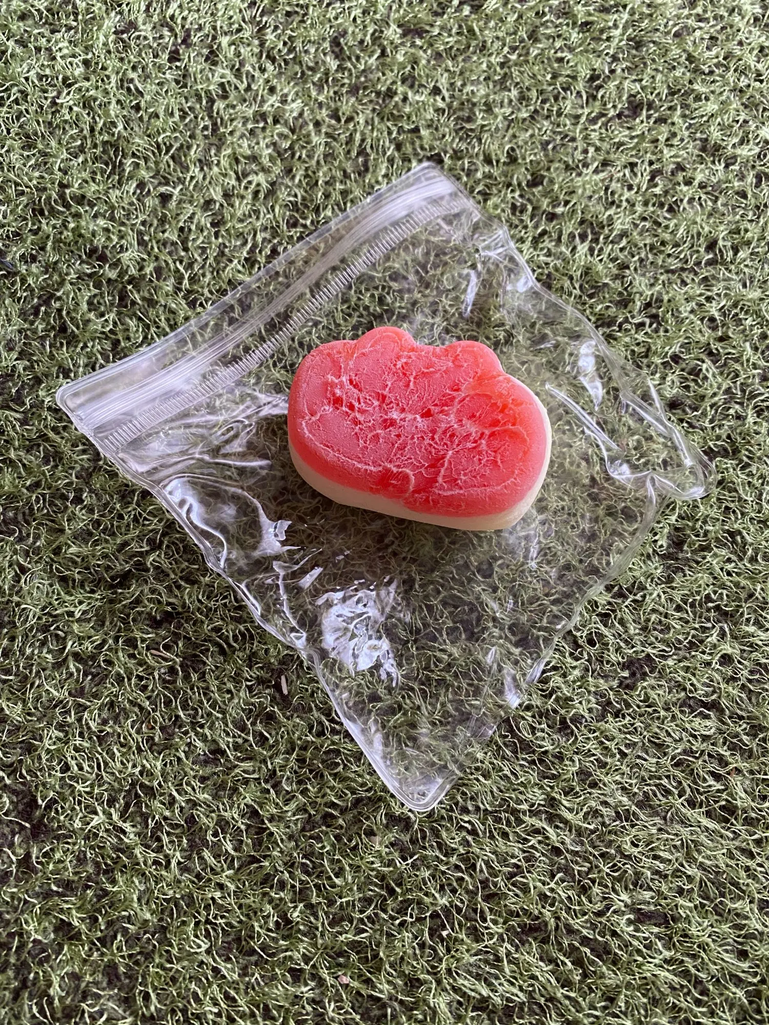 리뷰 사진