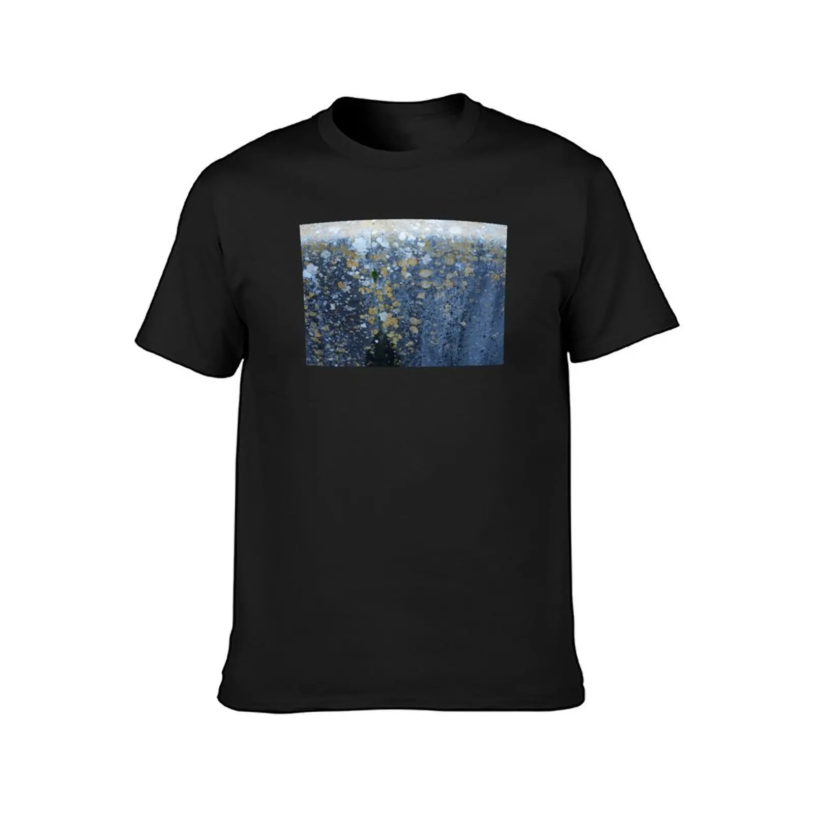 Ancient gravestone covered with lichen, detail shot. T-Shirt korean fashion anime sublime Blouse men t shirt