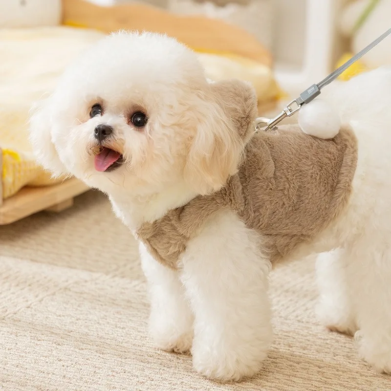 Autumn and Winter Ins Style Dog Clothes Cute Bear Two Legs Fleece Coat Thickened Warm Winter Teddy Pet Clothes Puppy Coat