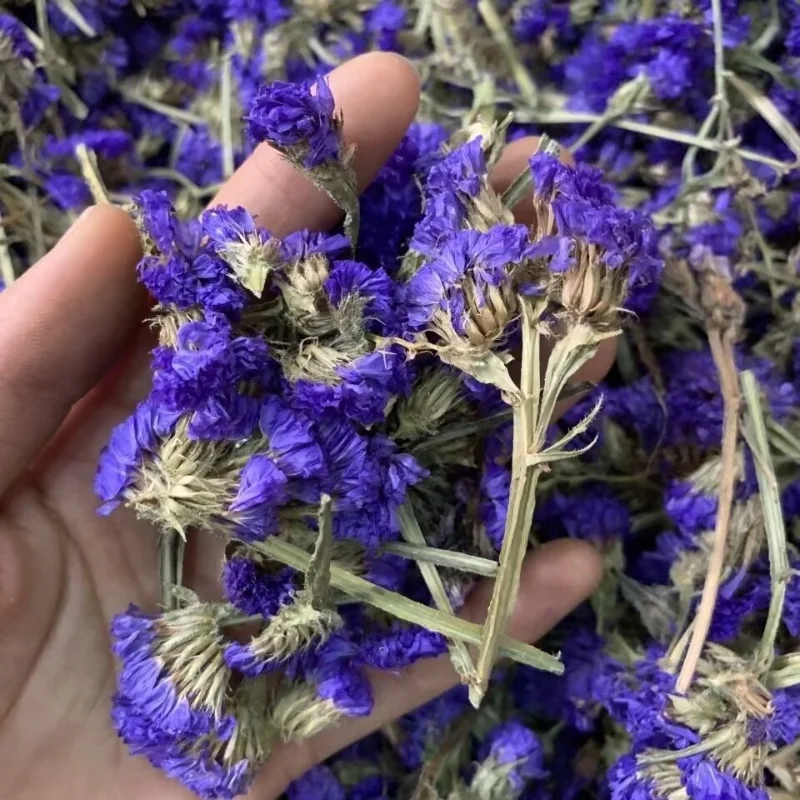 أعلى الطبيعية ننسى لي لا الزهور المجففة Diy بها بنفسك ديكور المنزل الصابون صنع الشموع الحرف وسادة ملء #2