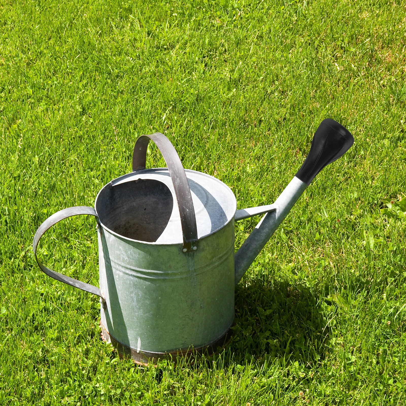 

Plastic Water Can Sprayer Head with Even Flow Shower Pattern Ideal for Seedlings and Delicate Plants Durable Irrigation Tip