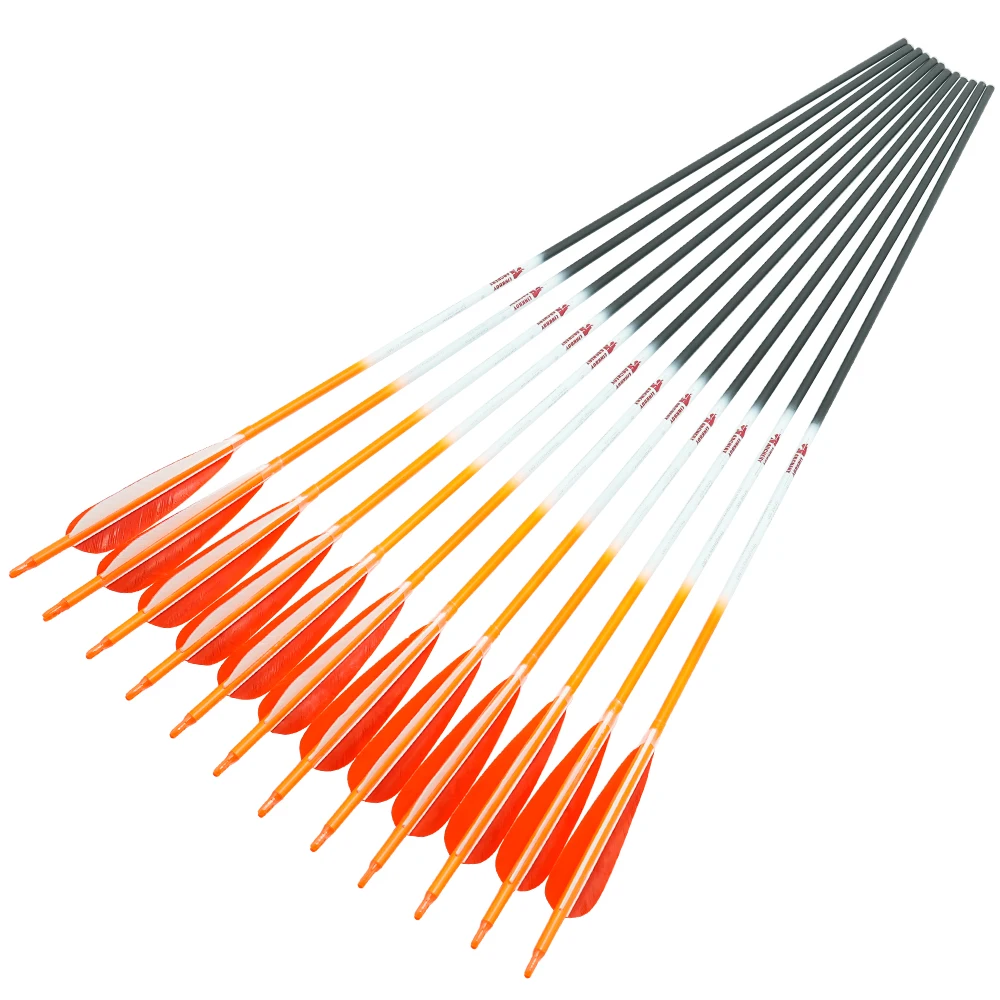 Linkboy-Archery Carbon Arrows, Recurve Bow, Compound Bow, Hunting, Spine300-800, ID6.2mm, 5Inch Turkey Feather, 75gr Tips, 6Pcs