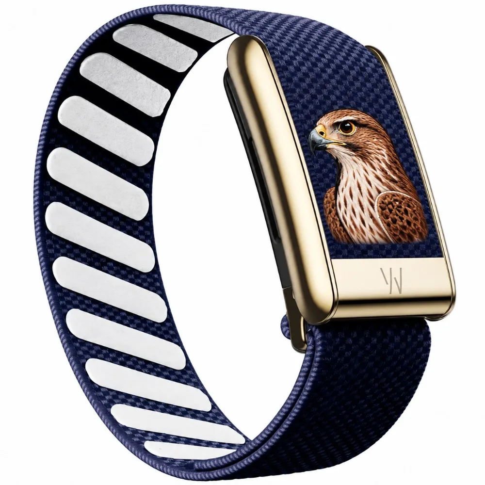 WHOOP 5.0 MG Compatible Eagle Graphic Nylon Woven Sport Band Printed Replacement Wrist Strap