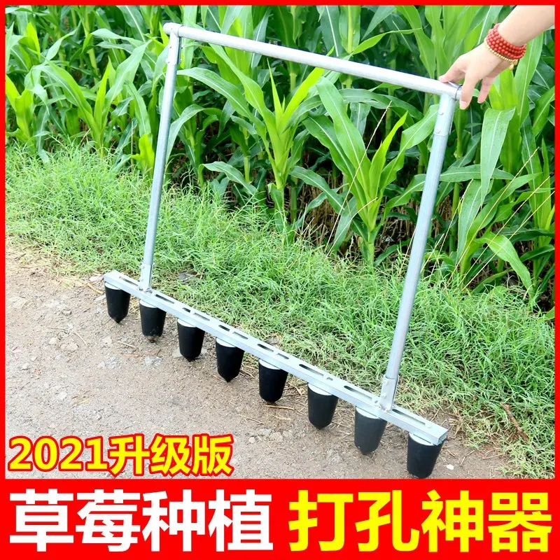 Seedling planting tool, hole punching machine, vegetable planting hole punching machine, agricultural tool, strawberry transplan