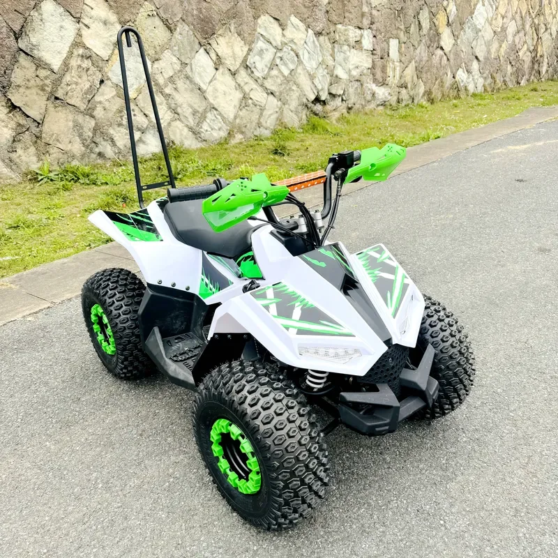New Design 125cc Gas Powered Electric Start 2WD Kids ATV Automatic Chain Drive Transmission for Beach Use 4 Stroke Quad Wheel