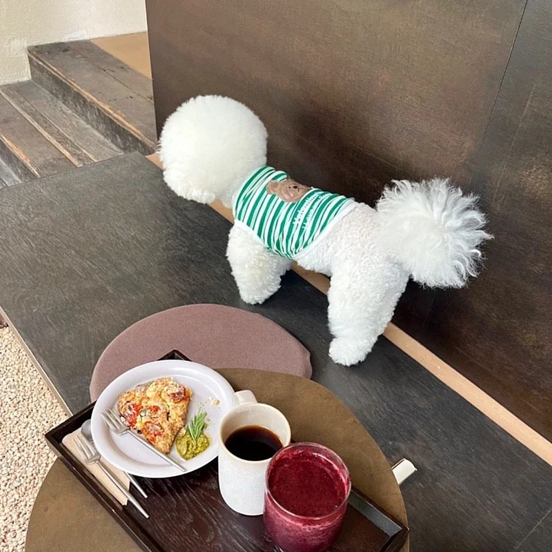Adorable Summer Striped Bear Pattern Pet Shirt for Puppies Small Dog Vest Cat Clothes Bichon Teddy Chihuahua Fashion Outfit