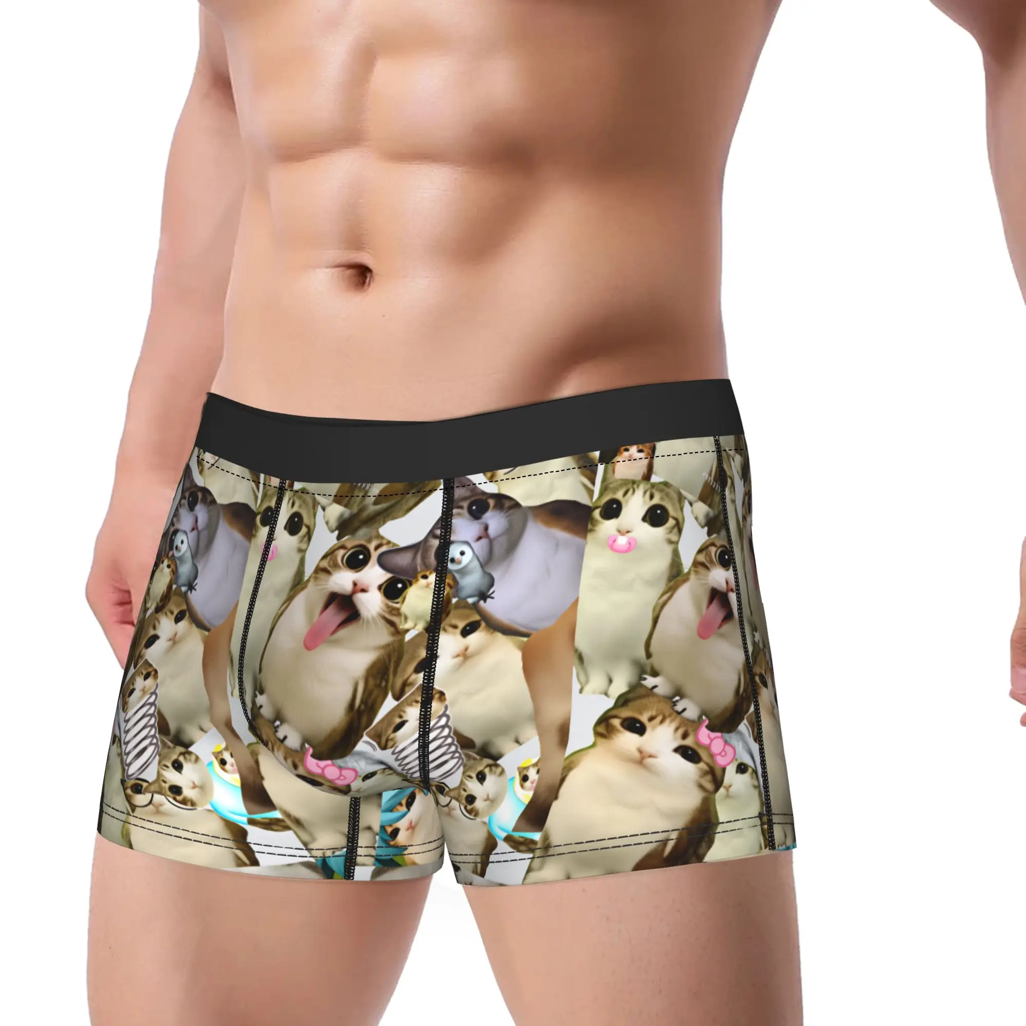 Meowl Cat Owl Funny Animal Boxershorts Pouch Underwear Trenky Custom DIY Shorts Briefs Comfortable Males Underpants Big Size 2XL