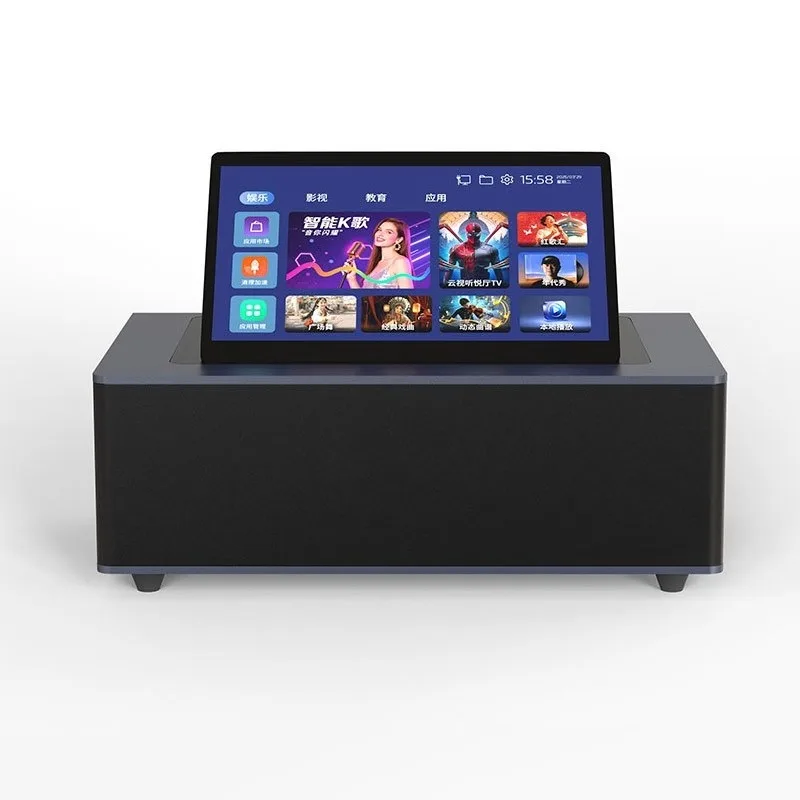 Multilingual Home KTV with Foreign System Double Mai Microphone