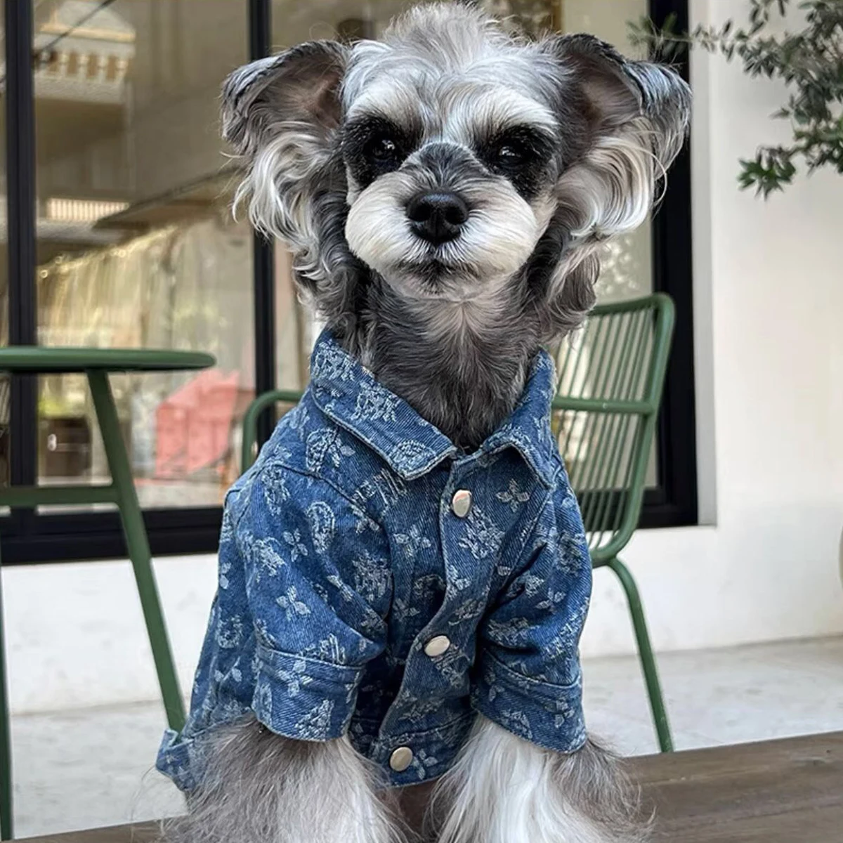 Pet Dogs Cats Denim Coat Jacket Puppy Clothes Cool Apparel For Small Medium Dogs Cowboy Schnauzer Dobby Bear Teddy Pet Clothing