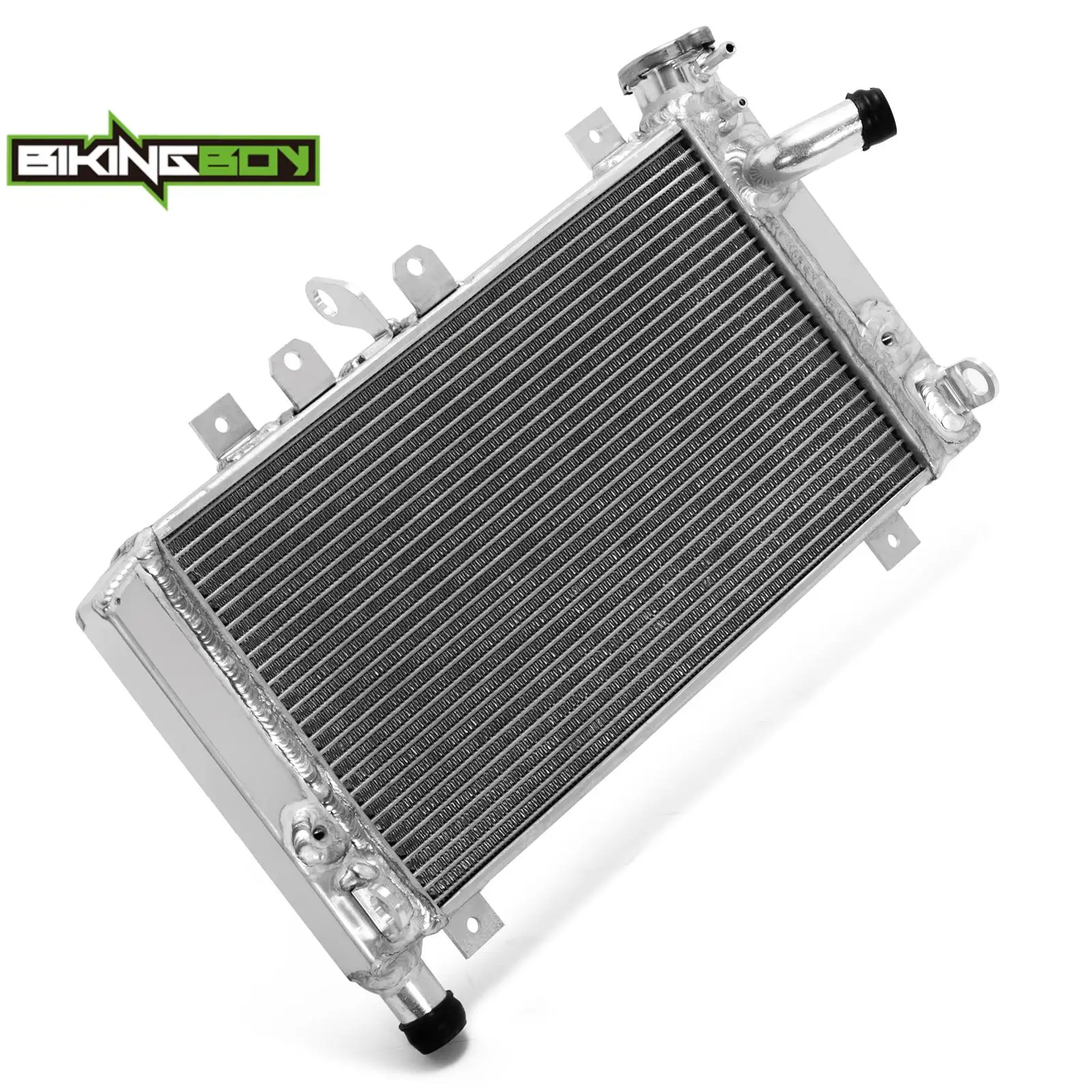 BIKINGBOY для BMW S1000RR 09 10 11 12 13 14 15 16 17 18 HP4 RACE 18 радиатор двигателя охлаждающий водяной кулер алюминиевый сердечник полированный