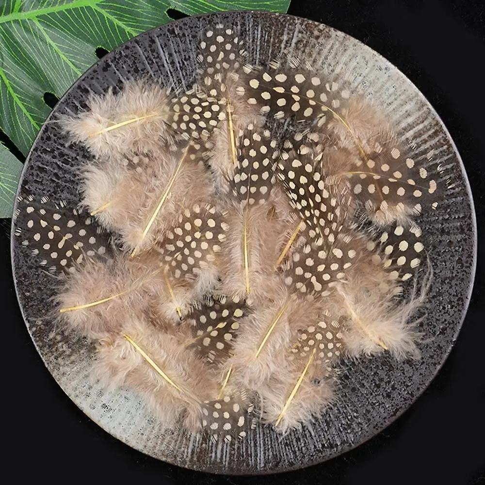 50pcs Small Size Natural Feathers Spotted Design Natural Material Guinea Fowl Feathers Multicolor Beautiful Plume