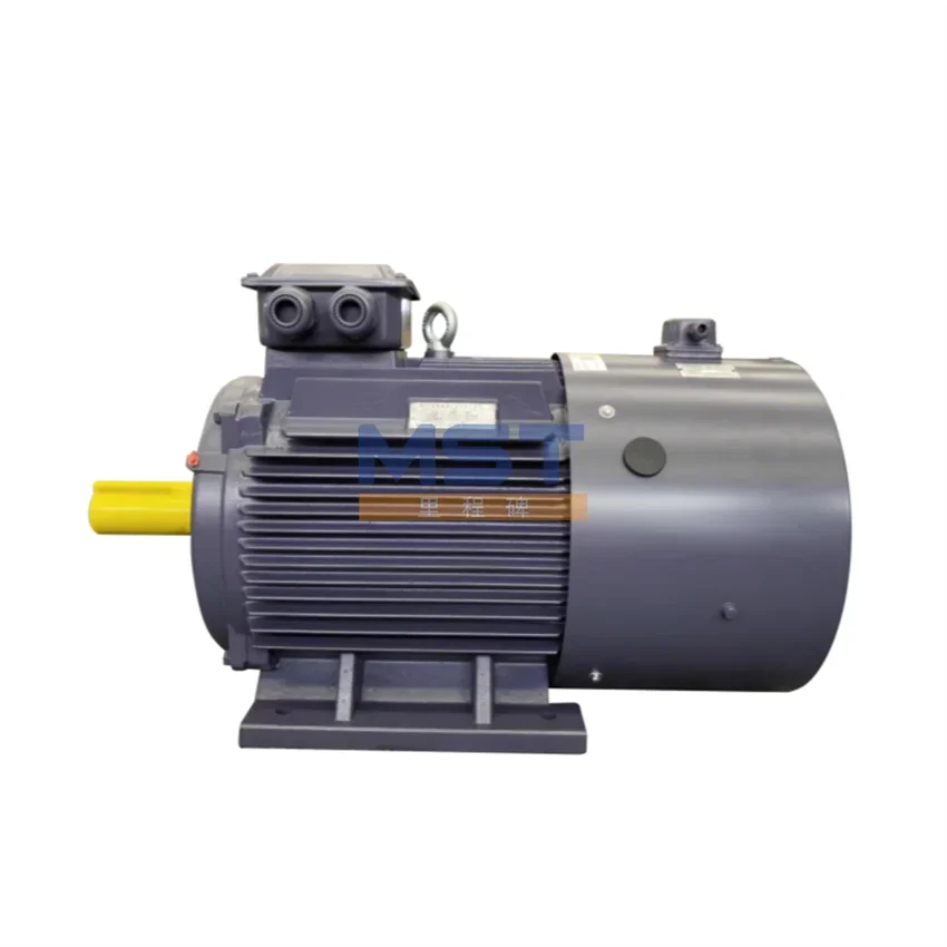 132kW Siemens Motor, 55kW Siemens Heavy-Duty Motor, 4000hp Motor for Heavy Industrial Applications