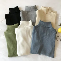 Autumn Winter Thick Sweater Women Knitted Pullover Ribbed Sweater Long Sleeve Turtleneck Slim Warm Soft Pull Femme Jumper 2024