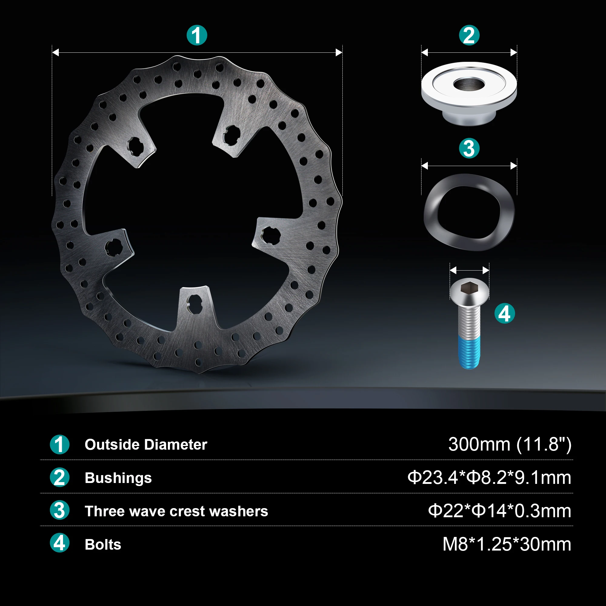 Рисунок 2 - Роторы переднего тормозного диска 11