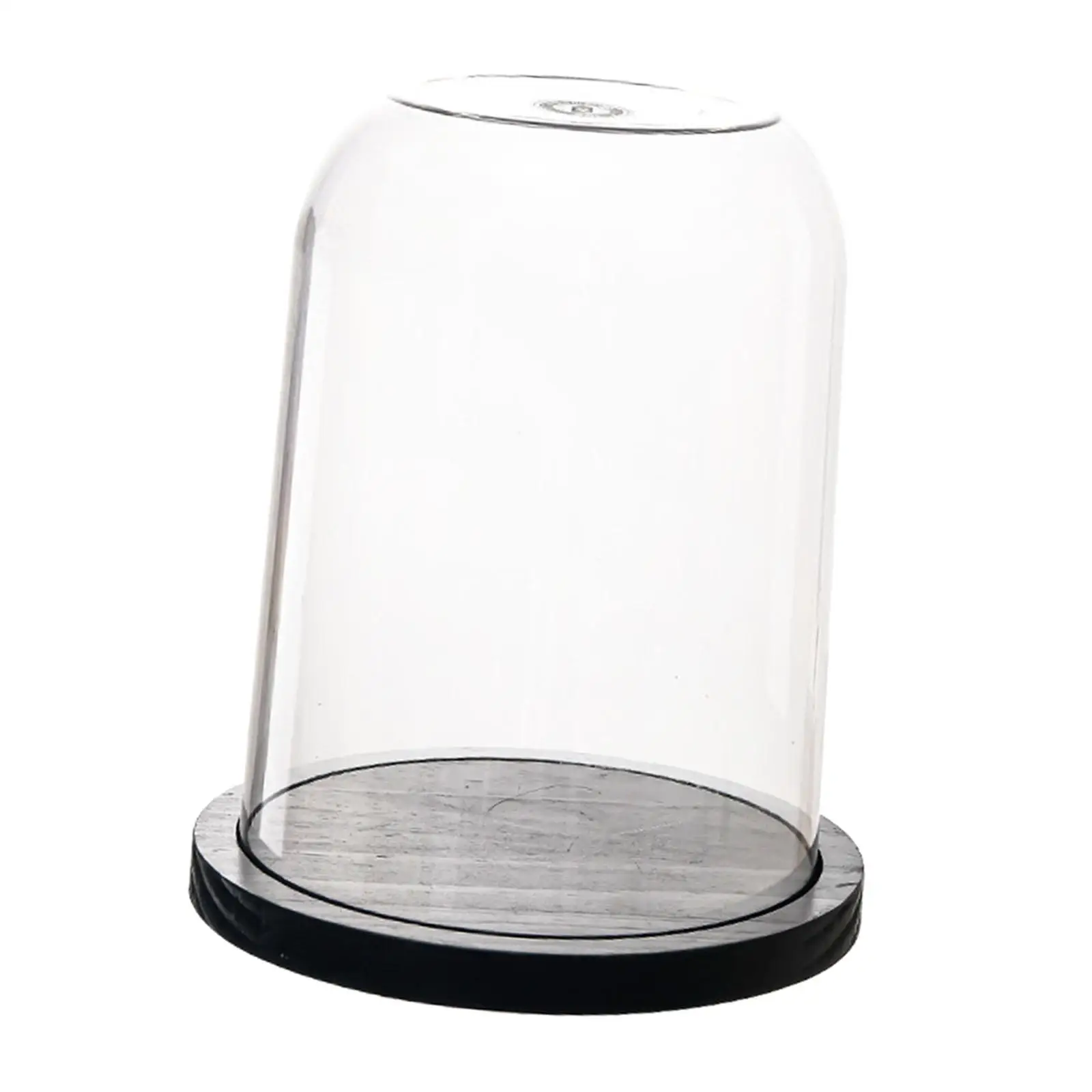 Clear Dome Cloche with Wooden Base Decorative Display Jar for Home Ornaments and Interior Decoration Room