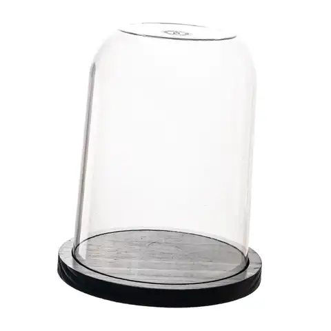 Clear Dome Cloche with Wooden Base Decorative Display Jar for Home Ornaments and Interior Decoration Room