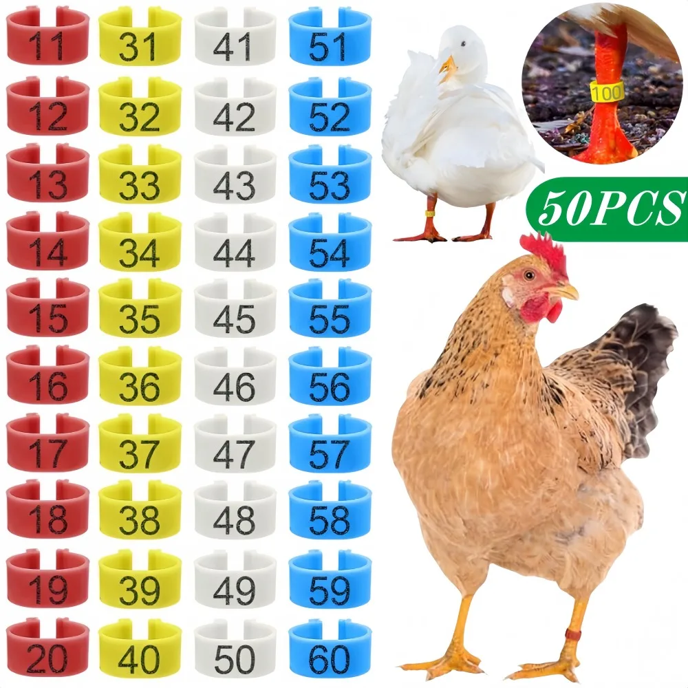 50pcs-10pc Chicken Foot Ring 1.6cm Turkeys Quail Foot Ring Multi-Color Numbered Identification Leg Rings Poultry Carry Foot Ring