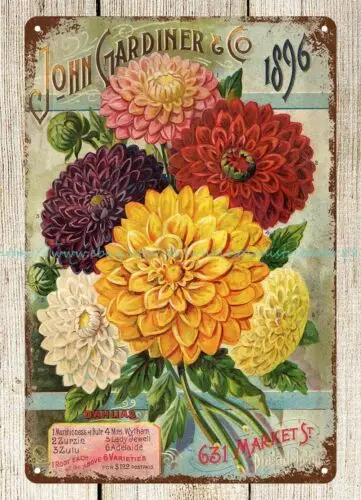 bar wall decor Dahlias flower catalog John Gardener and Co. 1896 metal tin sign