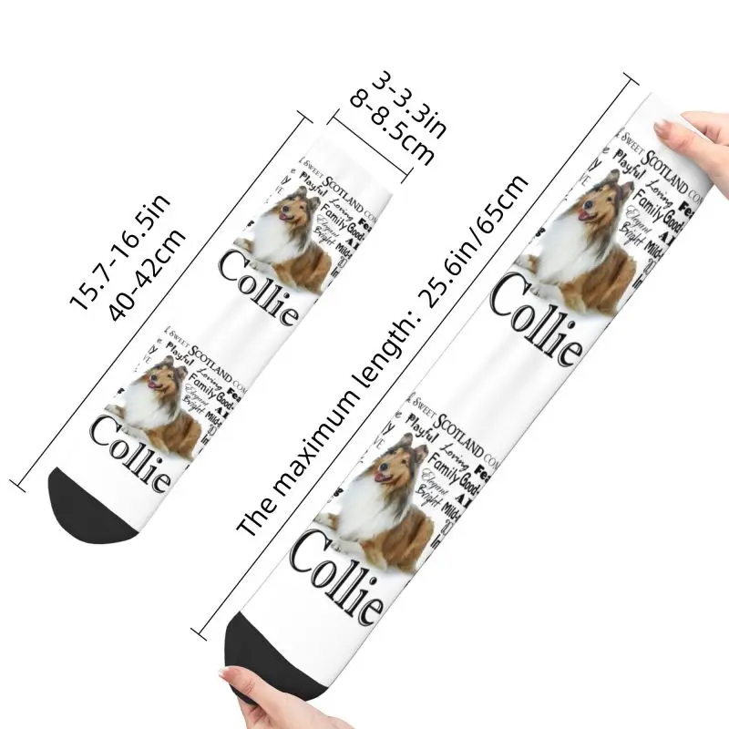 Cool Printing Pet Collie Dog Traits Socks for Women Men Stretch Summer Autumn Winter Animal Crew Socks