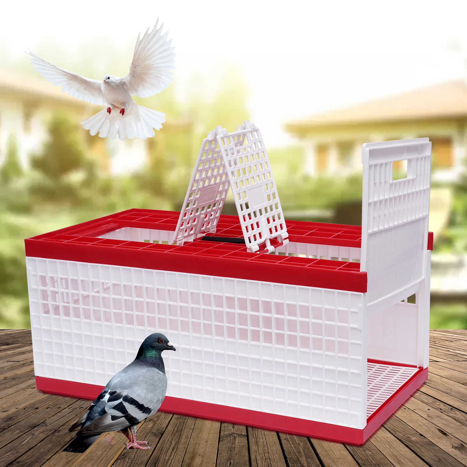 

60 x 31 x 23 Cm Bird Training Basket Folding Pigeon Training Release Cage with 2 Side Doors + 2 Top Department NEW