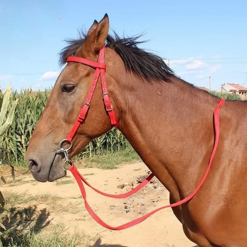サドルリードロープ、ハルター取り付け可能なサドルリードロープ、長さ13メートル以上、あらゆるサイズの馬に適しています。