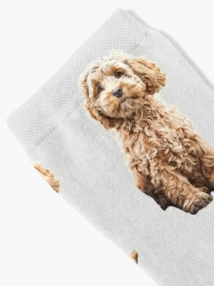 Cockapoo Cavoodle Labradoodle Cute Puppy Dog- Poodle x Socks cotton shoes Luxury Woman Socks Men's