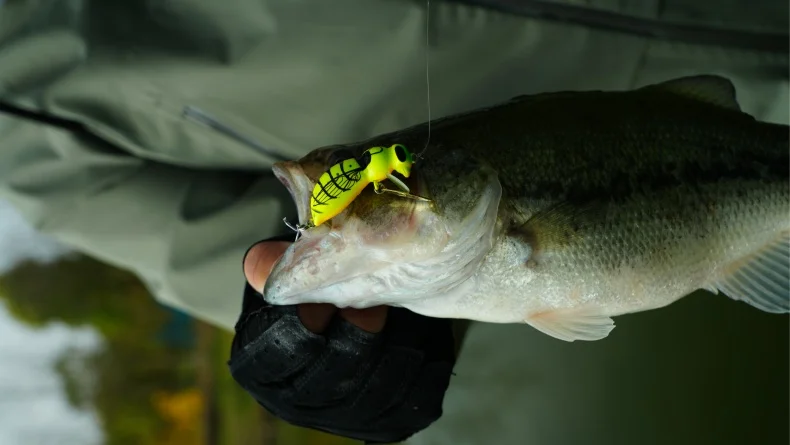 KINGDOM Wasp Minnow Topwater-Köder 35mm 43mm Schwimmend Langsam Sinkender Insekten-Hartköder 3,9g 4,5g 4,8g 6,1g für Barsch und Forelle – Detail 1